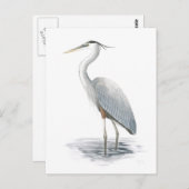 Great Blue Heron Briefkaart (Voorkant / Achterkant)