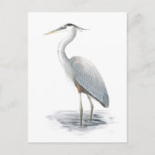 Great Blue Heron Briefkaart (Voorkant)