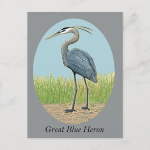 Great Blue Heron Briefkaart