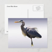 Great Blue Heron Briefkaart (Voorkant / Achterkant)