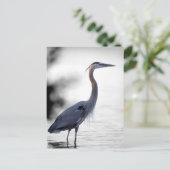 Great Blue Heron Briefkaart (Staand voorkant)