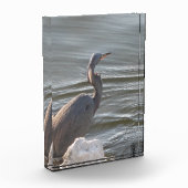 Great Blue Heron by the Water Fotoblokken (Links)