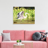 Great Blue Heron Canvas Afdruk (Insitu (Woonkamer))