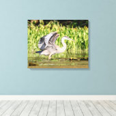 Great Blue Heron Canvas Afdruk (Insitu (Houten vloer))