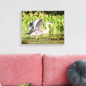 Great Blue Heron Canvas Afdruk (Insitu (Woonkamer))