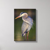 Great Blue Heron Canvas Afdruk (Voorkant)