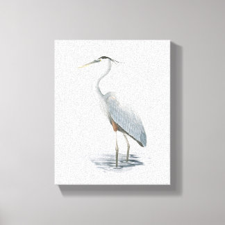 Great Blue Heron Canvas afdrukken