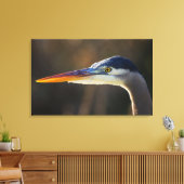 Great Blue Heron, close up portret Canvas Afdruk (Insitu (Woonkamer))