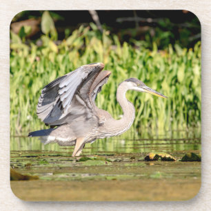 Great Blue Heron Drankjes Onderzetter