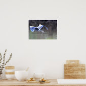 Great Blue Heron Flying Poster (Keuken)