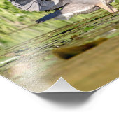 Great Blue Heron Foto Afdruk (Hoek)