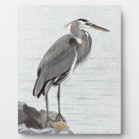 Great Blue Heron Fotoplaat (Voorkant)