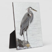 Great Blue Heron Fotoplaat (Zijkant)