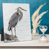 Great Blue Heron Fotoplaat (Zijkant)