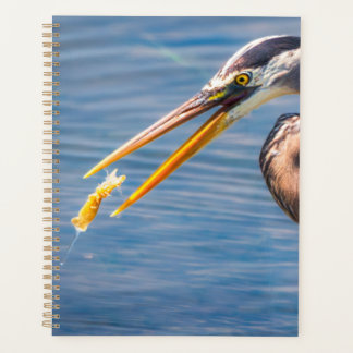 Great Blue Heron Hunting Prey Wildlife Art Print Planner