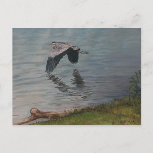 Great Blue Heron in Flight Bird Art Briefkaart (Voorkant)