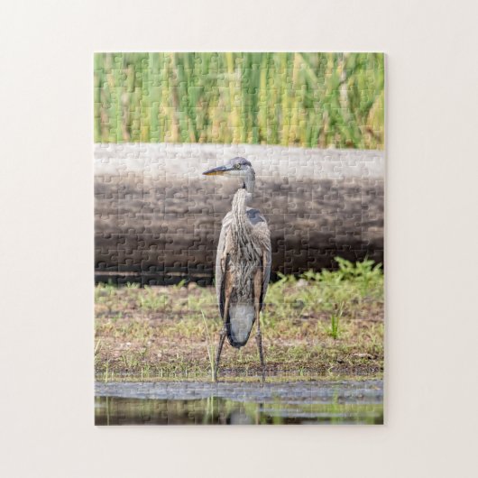 Great Blue Heron in Lake ChamPlain Legpuzzel (Verticaal)