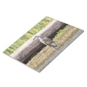 Great Blue Heron in Lake ChamPlain Notitieblok (Schuin)