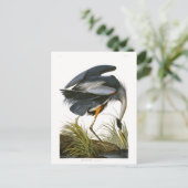 Great Blue Heron, John James Audubon Fine Art Briefkaart (Staand voorkant)