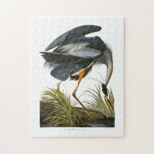 Great Blue Heron, John James Audubon Legpuzzel