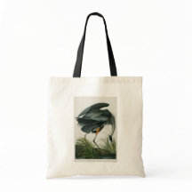 Great Blue Heron, John James Audubon