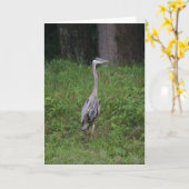 Great Blue Heron Kaart (Gele Bloem)