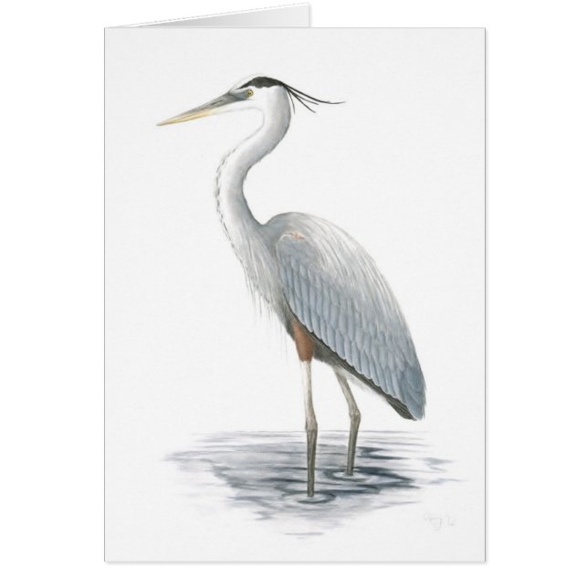Great Blue Heron-kaart (Voorkant)