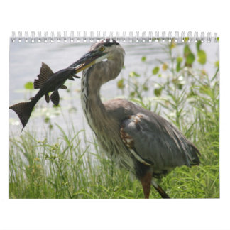 GREAT BLUE HERON KALENDER