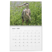 GREAT BLUE HERON KALENDER (Mar 2027)