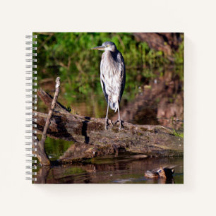 Great Blue Heron Log Photo Notitieboek Journal