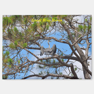 Great Blue Heron Magneet