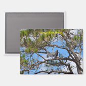 Great Blue Heron Magneet (Voorkant / Achterkant)