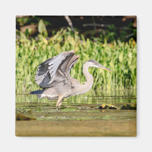 Great Blue Heron Magneet
