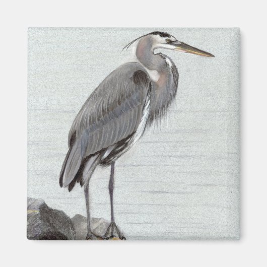 Great Blue Heron Magneet (Voorkant)