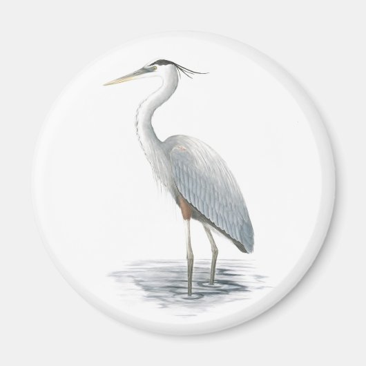 Great Blue Heron Magnet Magneet (Voorkant)