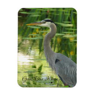 Great Blue Heron Magnet Magneet