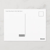 Great Blue Heron met Briefkaart voor valkleuren (Achterkant)