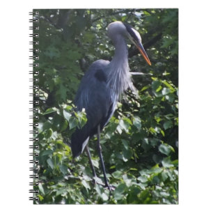 Great Blue Heron Notitieboek