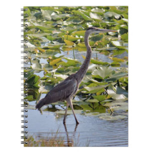 Great Blue Heron Notitieboek