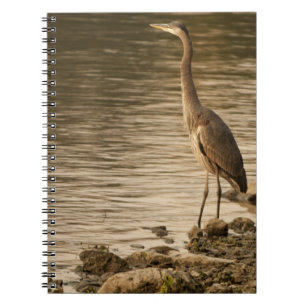 Great Blue Heron Notitieboek