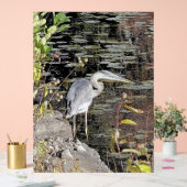 Great Blue Heron on Pond (Mariage)