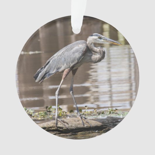 Great Blue Heron Ornament (voorkant)