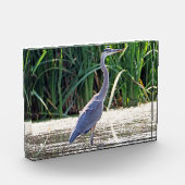 Great Blue Heron Photo Block Fotoblokken (Links)