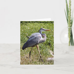 Great Blue Heron Photo Folded Note Kaart
