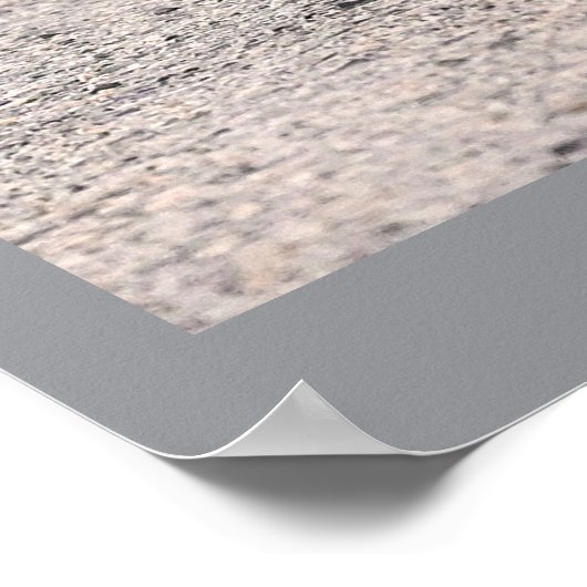 Great Blue Heron Photo Poster (Hoek)