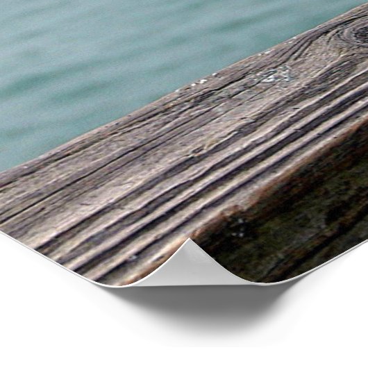 Great Blue Heron poster (Hoek)