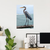 Great Blue Heron poster (Thuiskantoor)