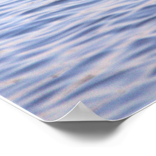 Great Blue Heron Poster (Hoek)