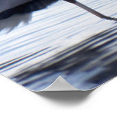 Great Blue Heron Poster (Hoek)