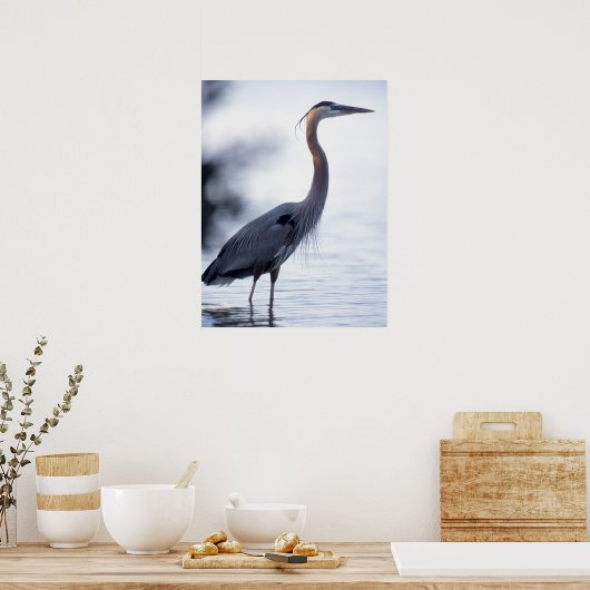 Great Blue Heron Poster (Keuken)